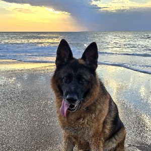 Sammy13 profile