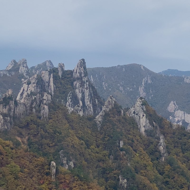 용훈