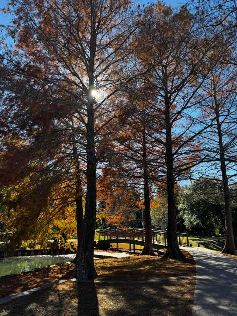 walking near me in Girard Park in winter