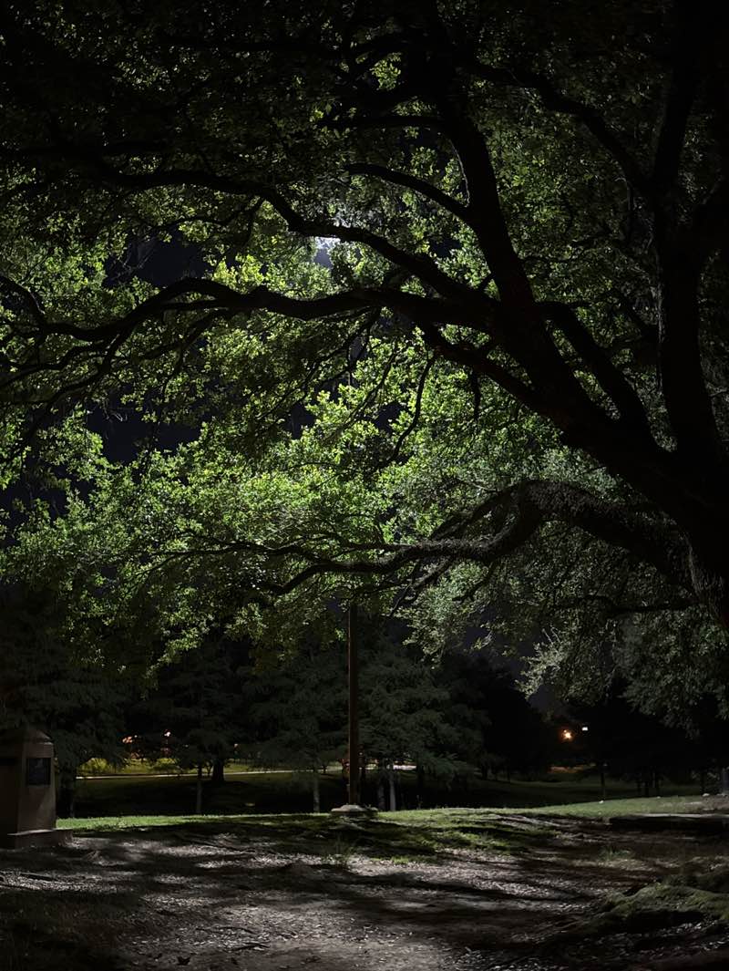 walking near me in Girard Park in summer