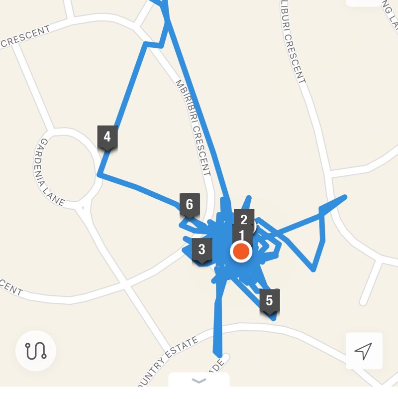 10000 steps club GeeMash post image