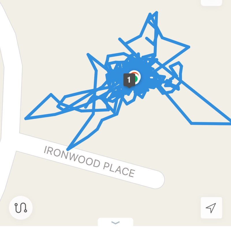 Friends of Ogo GeeMash post image