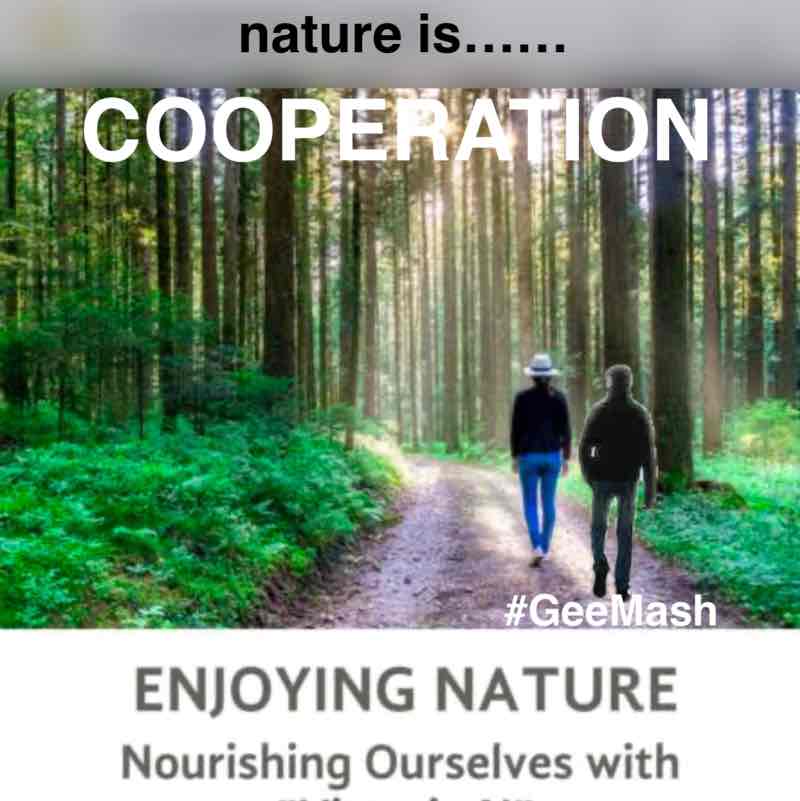 Friends of Ogo GeeMash post image