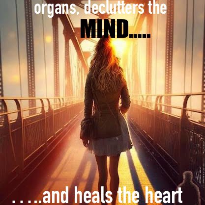 Friends of Ogo GeeMash post image