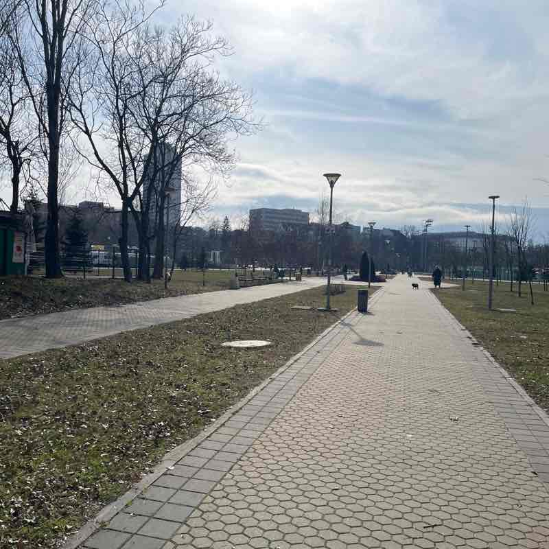 Albert 52193910 post 1