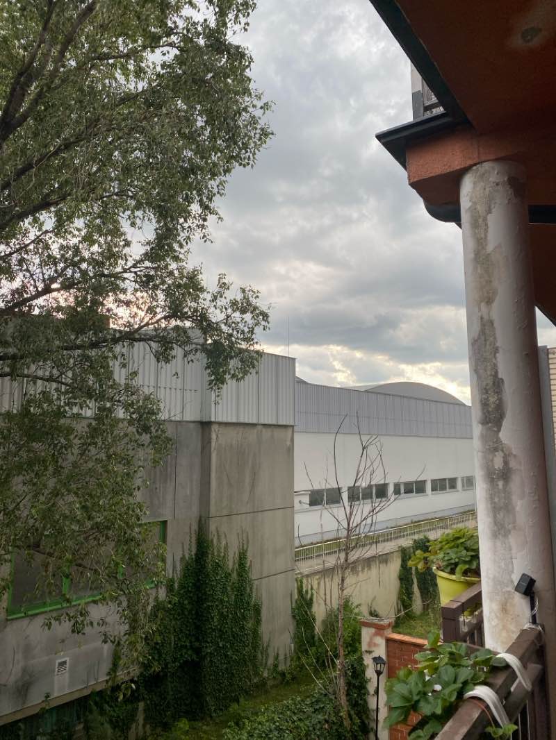 walking near me in Akademiepark in winter