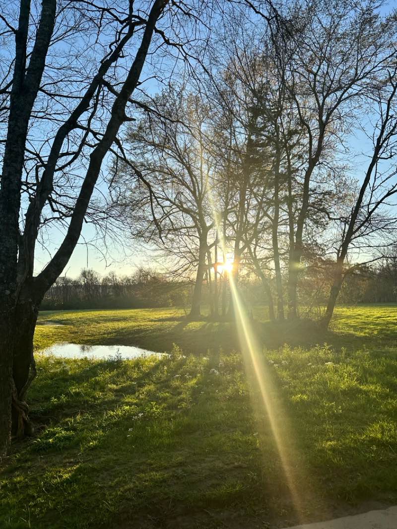 walking near me in Hays Nature Preserve in spring