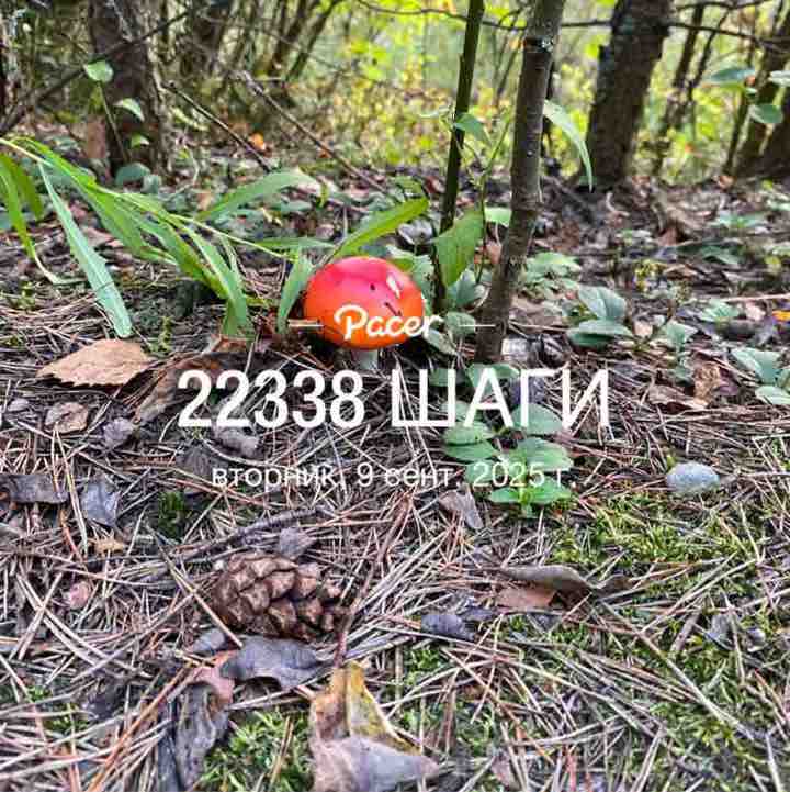 Иван post 1