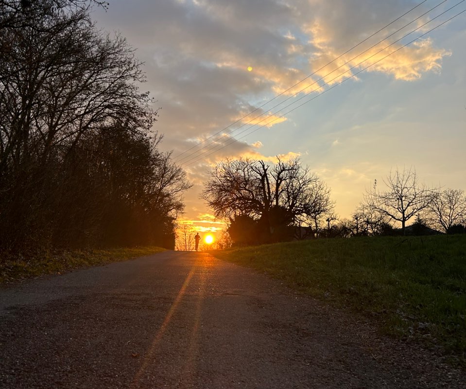 Rainer 🇩🇪🏃🏼‍➡️⚽️🏊🏻‍♂️🕺🤿 profile