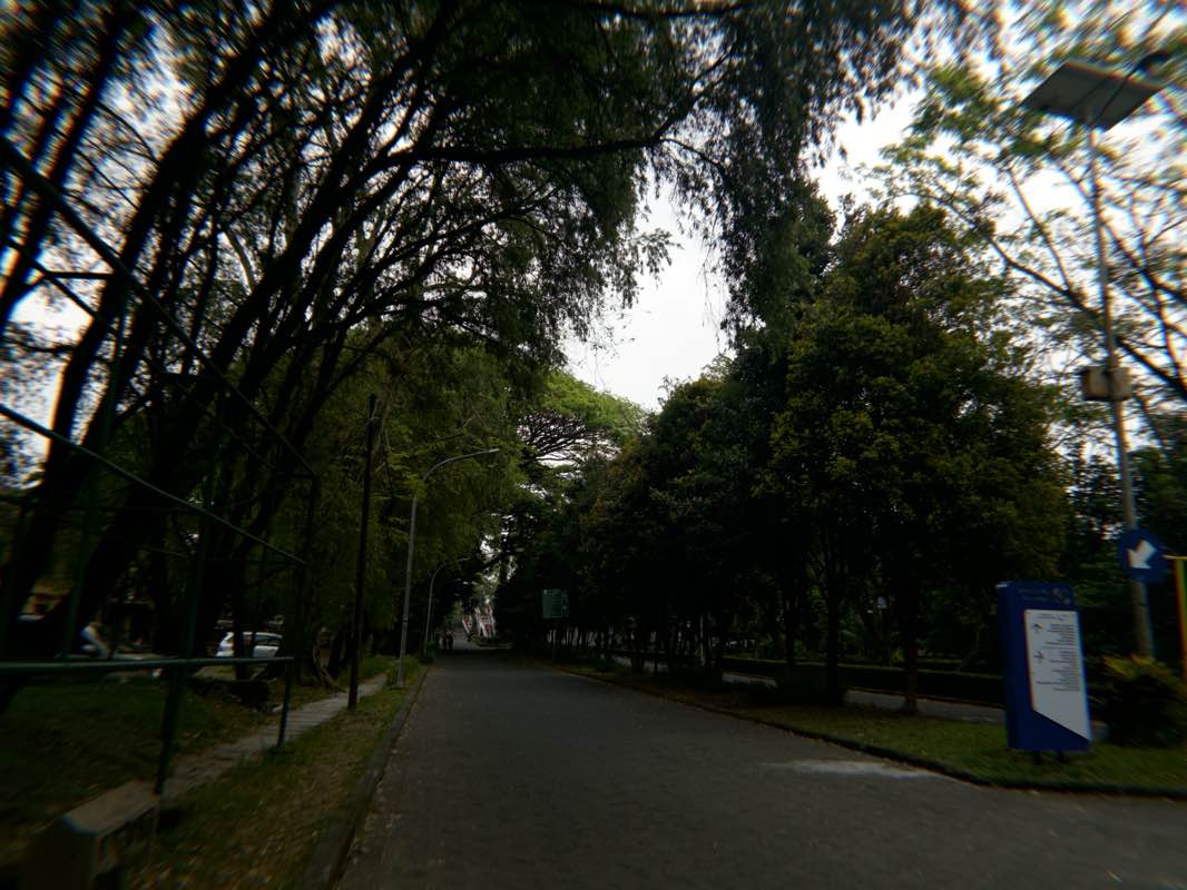 walking near me in Taman UM in spring