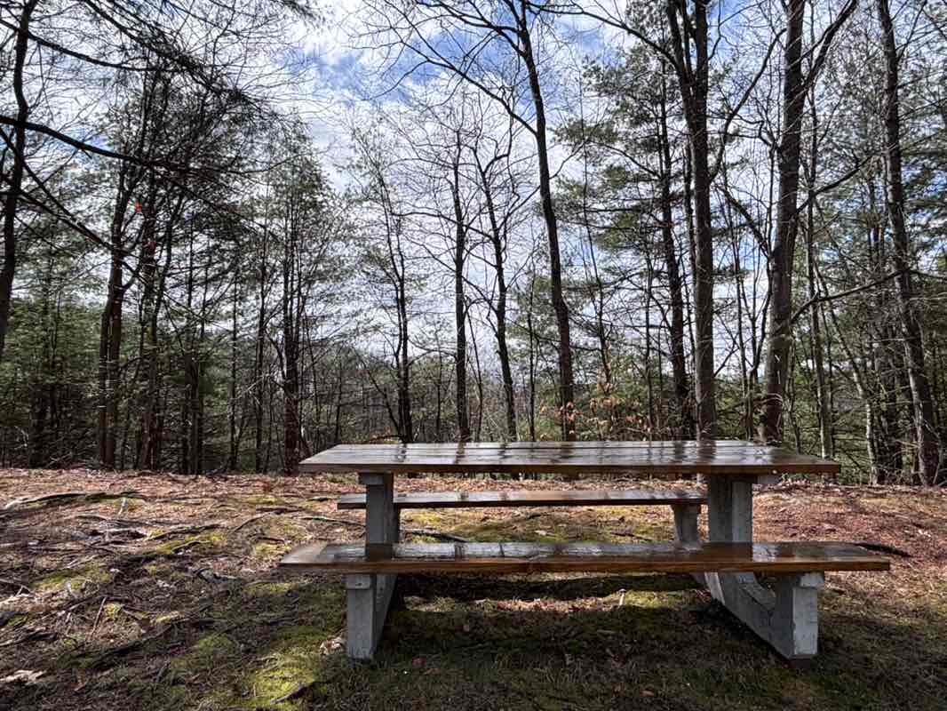 walking near me in Alvord Park in spring