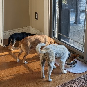 BFF's