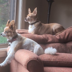 BFF's
