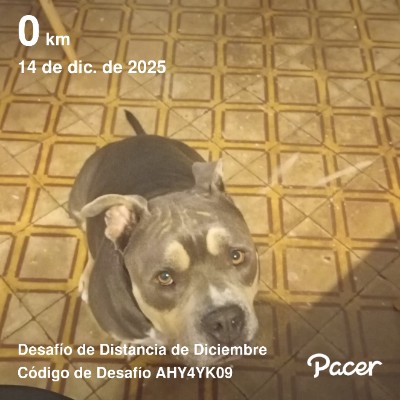 December Distance Challenge Patricio post image