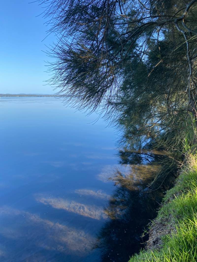 walking near me in Matron Simpson Reserve in summer