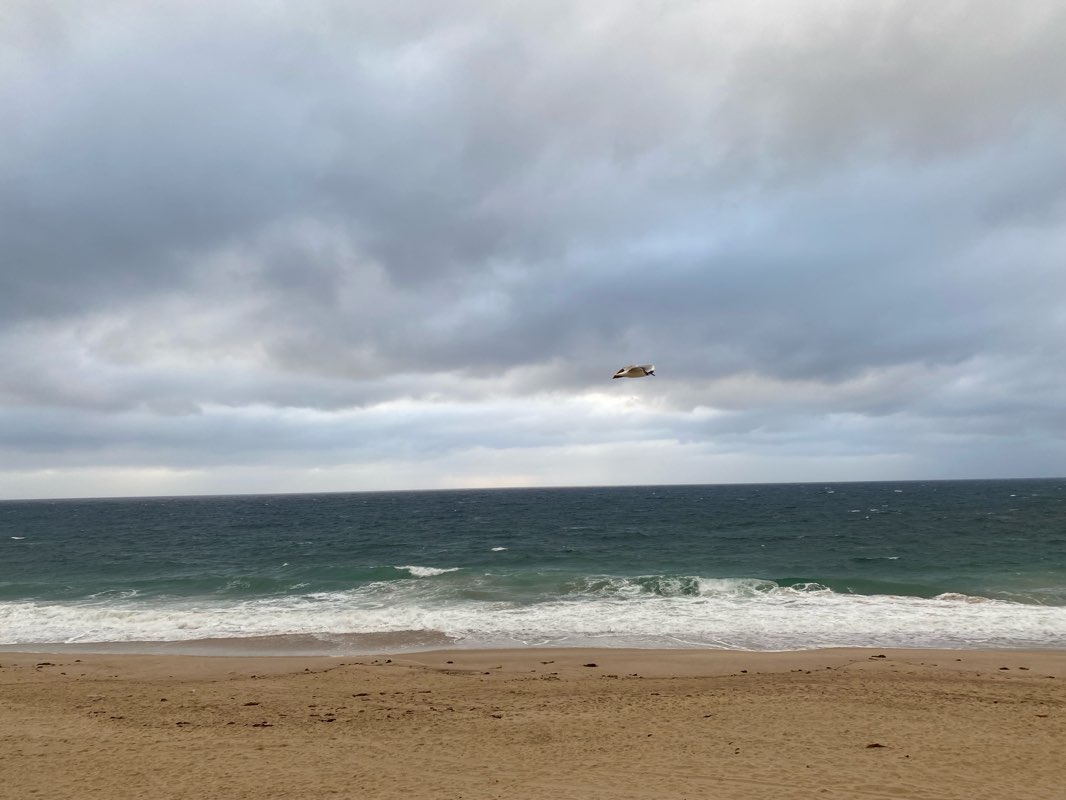 walking near me in Walter and Edith Denniss Park in summer