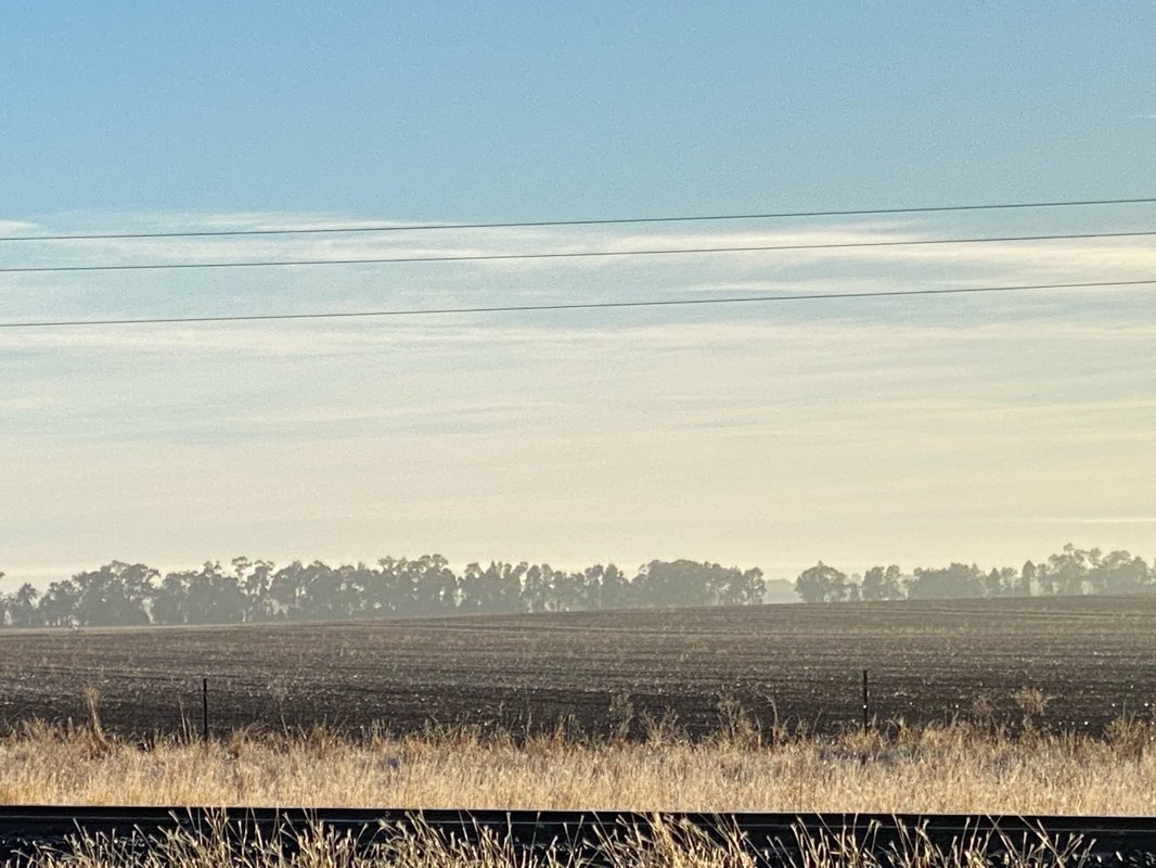 walking near me in Berryman Park in winter