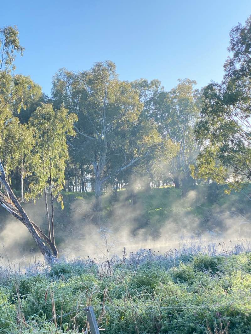 walking near me in Pavans Park in spring