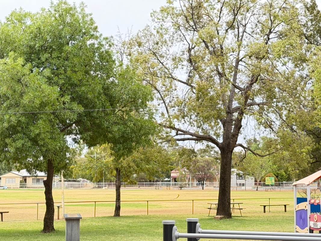 walking near me in Berryman Park in summer