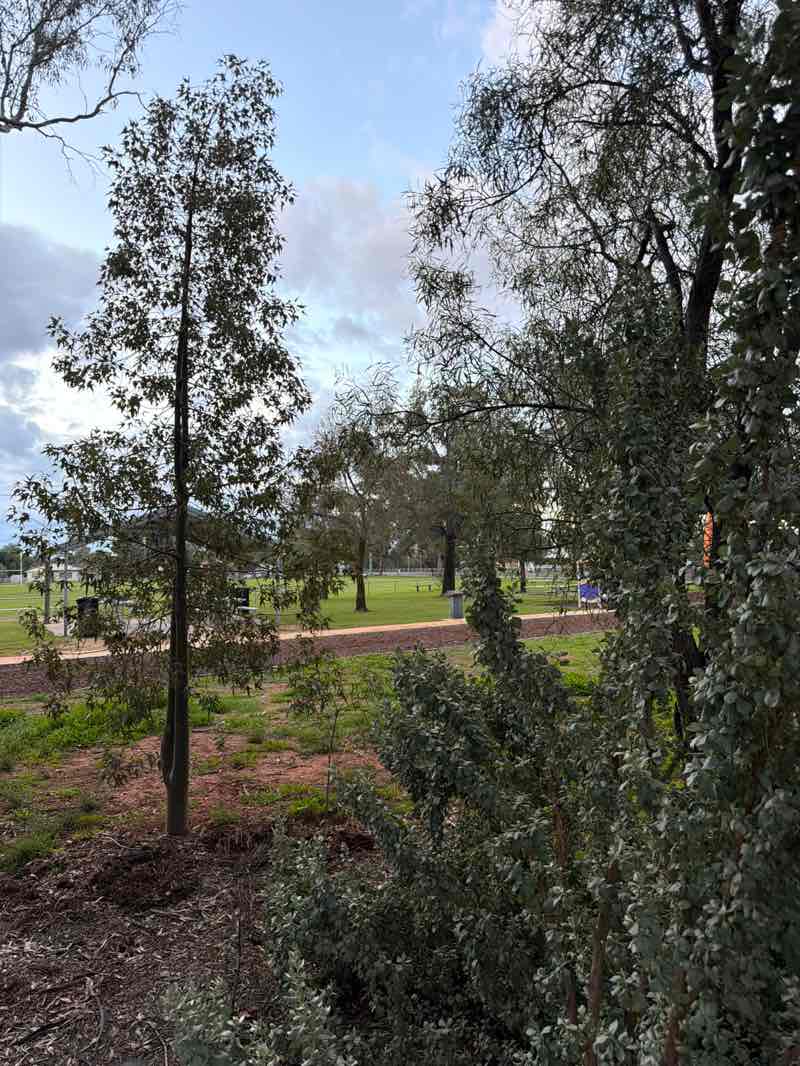 walking near me in Berryman Park in winter