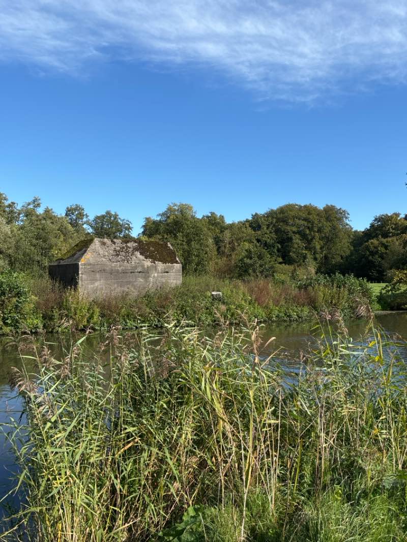 walking near me in Krommerijnpark in winter