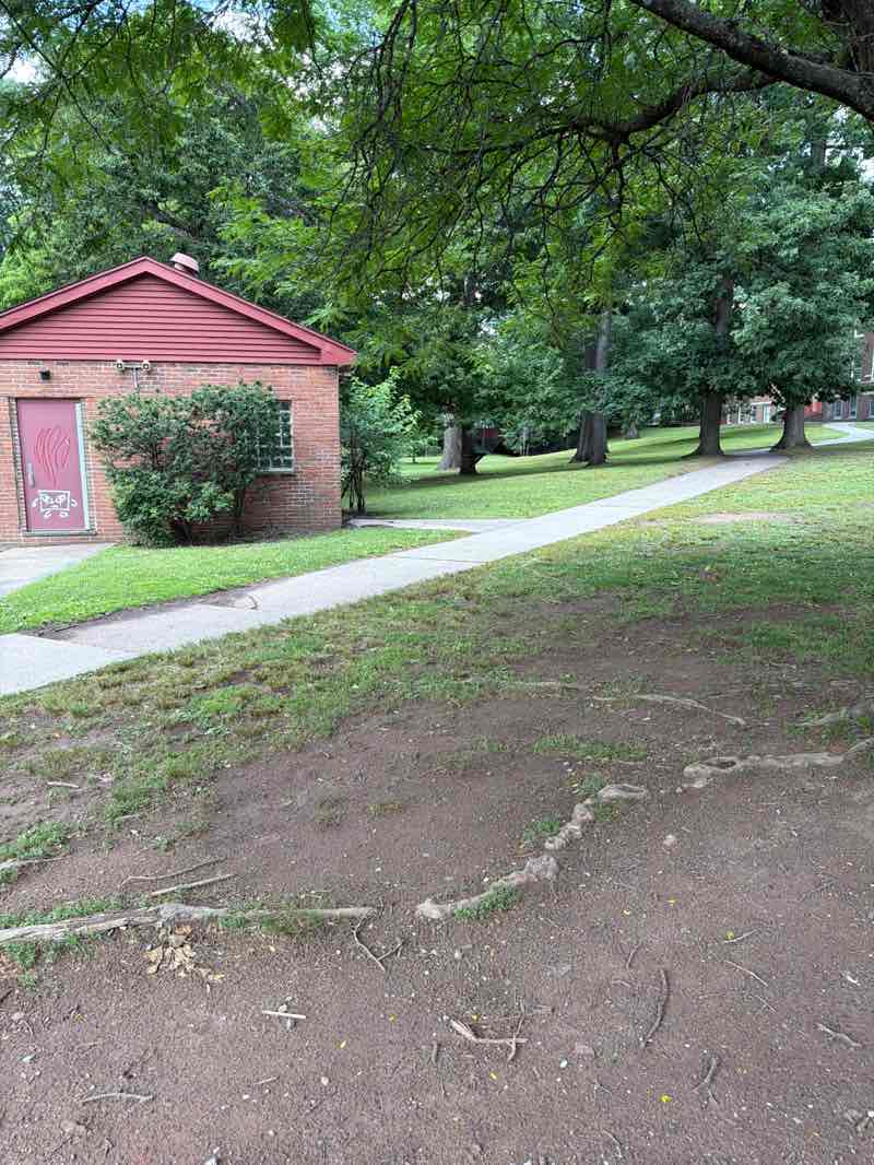 walking near me in Rand Park in summer