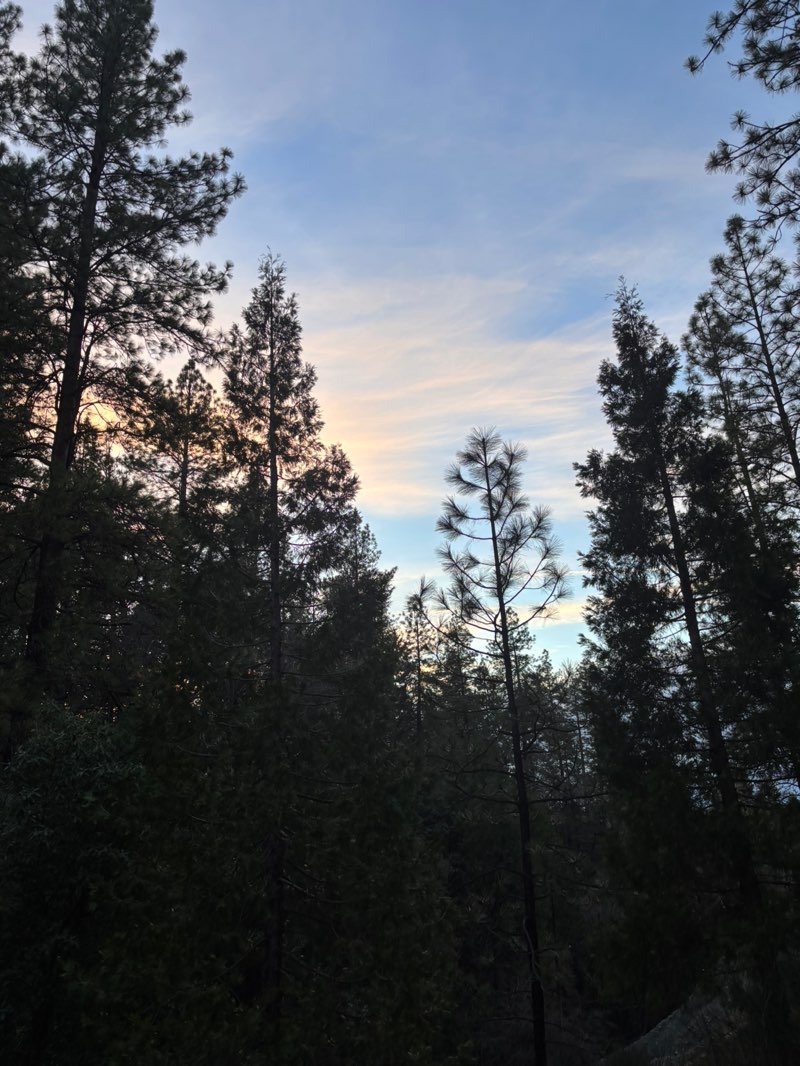 walking near me in Empire Mine State Historic Park in winter