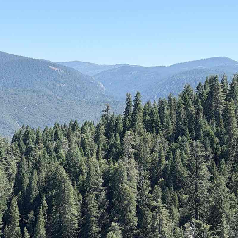 Sierra Blue post 2