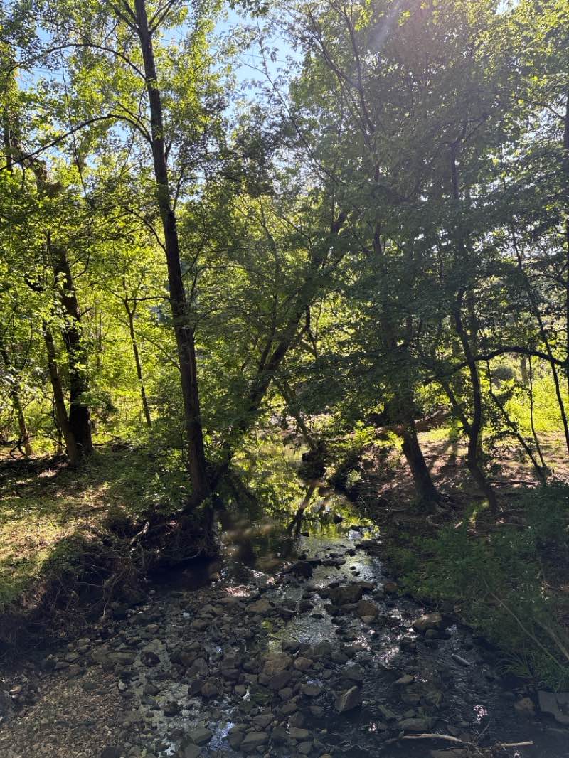 walking near me in Northside Park in spring