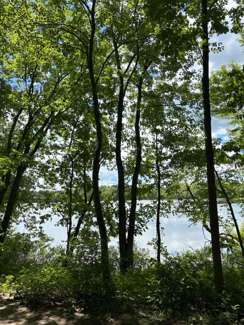 walking near me in Fisher Meadows Recreation Area in summer