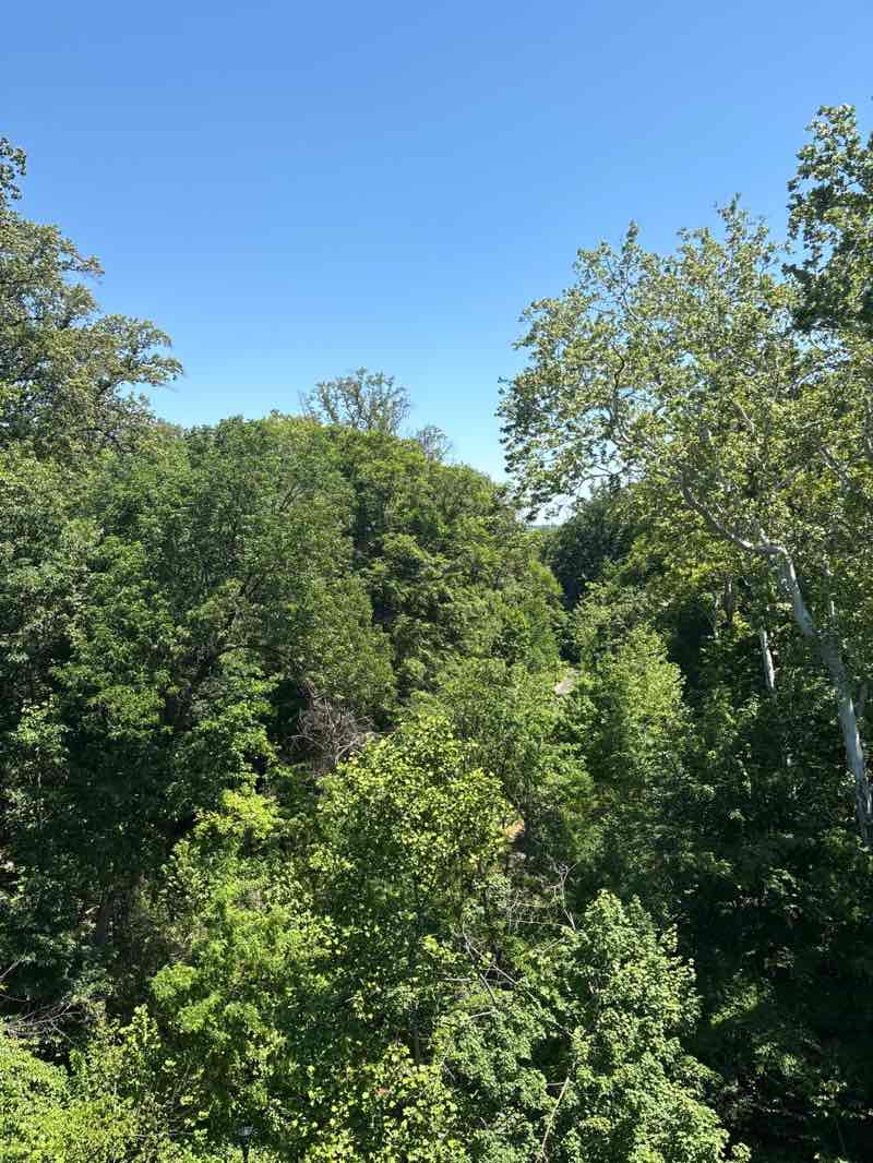 walking near me in Rock Creek Park and Piney Branch Parkway in spring