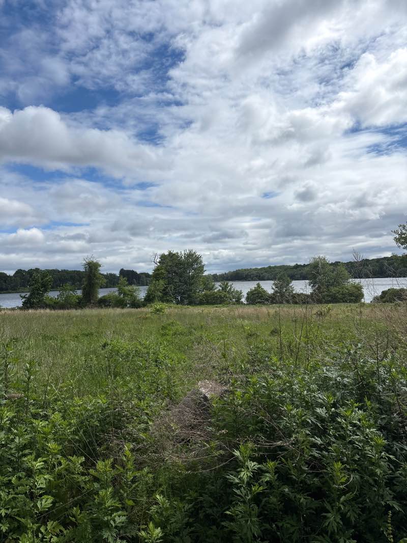 walking near me in Batterson Park in summer