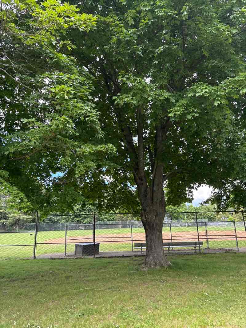 walking near me in Weatogue Park in summer