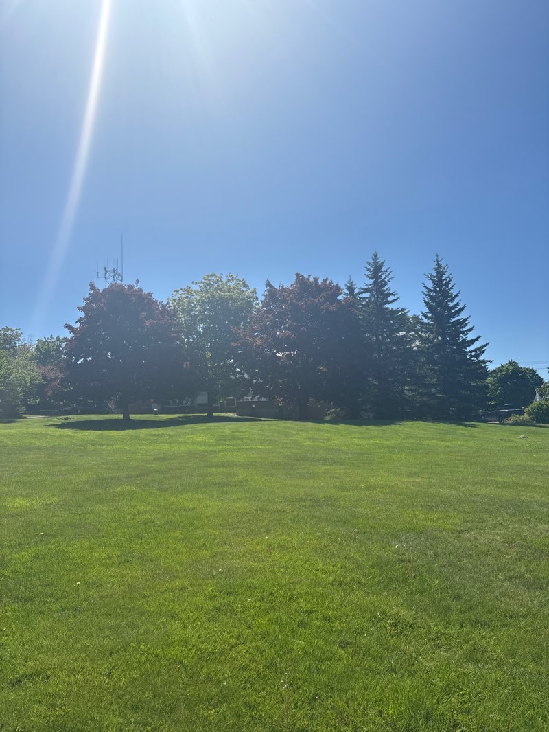 walking near me in The Sargent Common in summer
