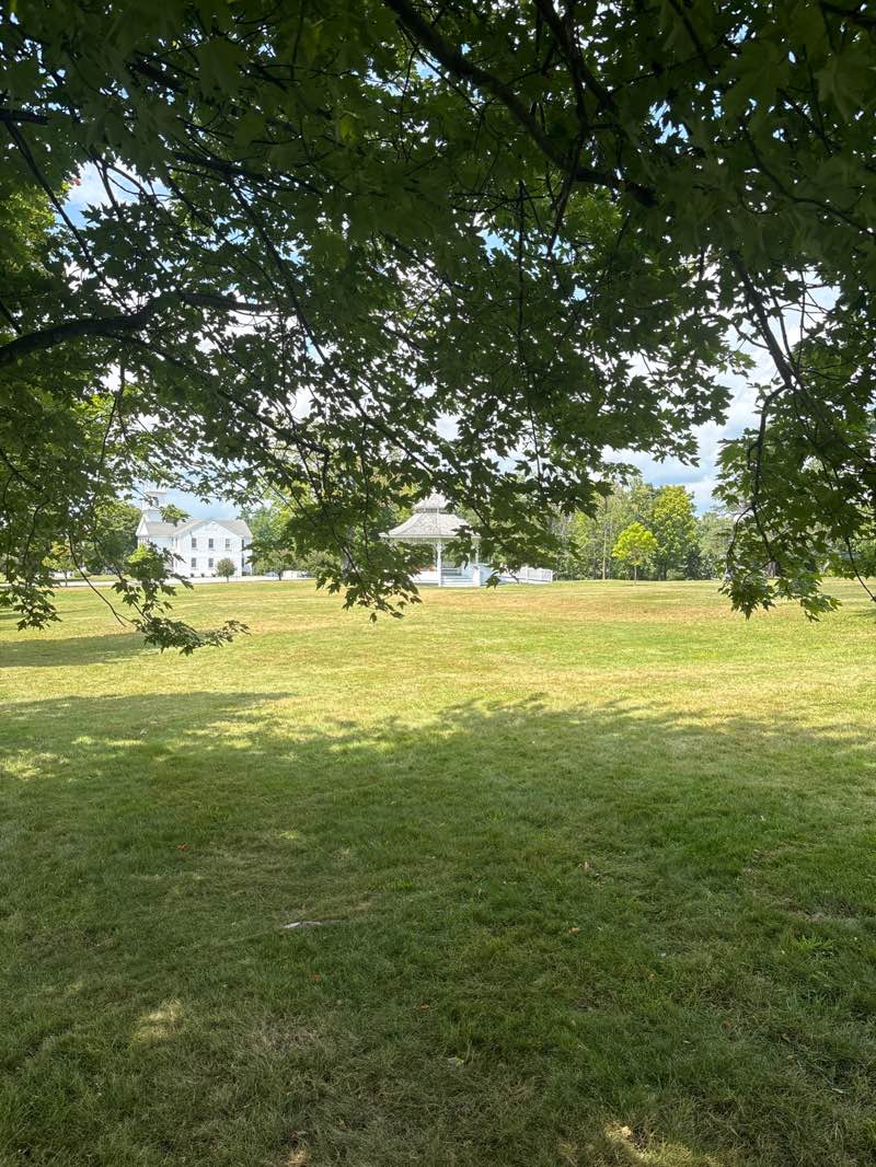 walking near me in The Sargent Common in summer