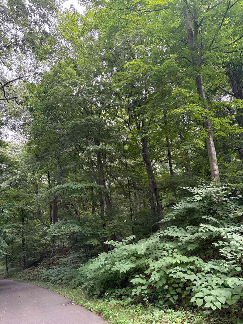 walking near me in Sperry Park in summer
