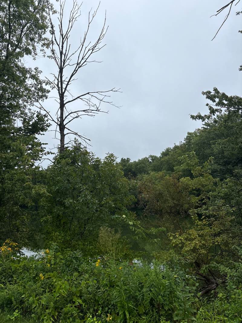 walking near me in Fisher Meadows Recreation Area in summer