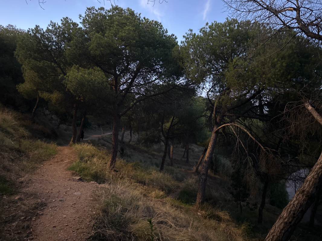 walking near me in parc del Turó d'en Caritg in autumn