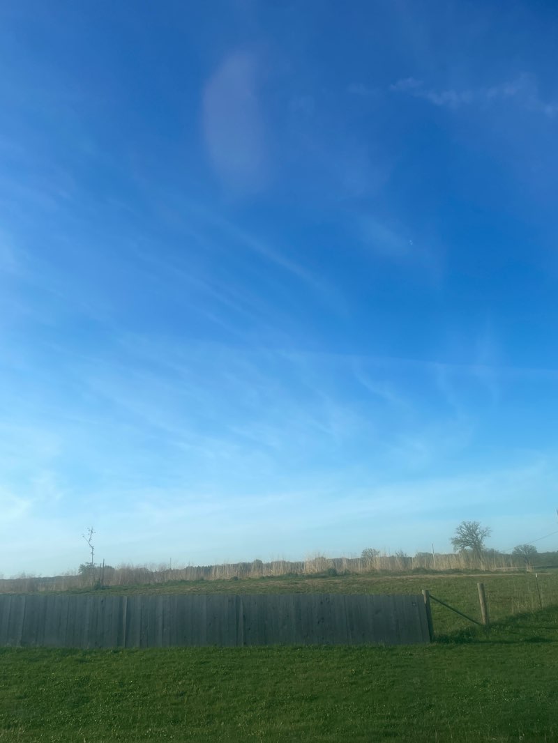 walking near me in Anderson Farm County Park in spring