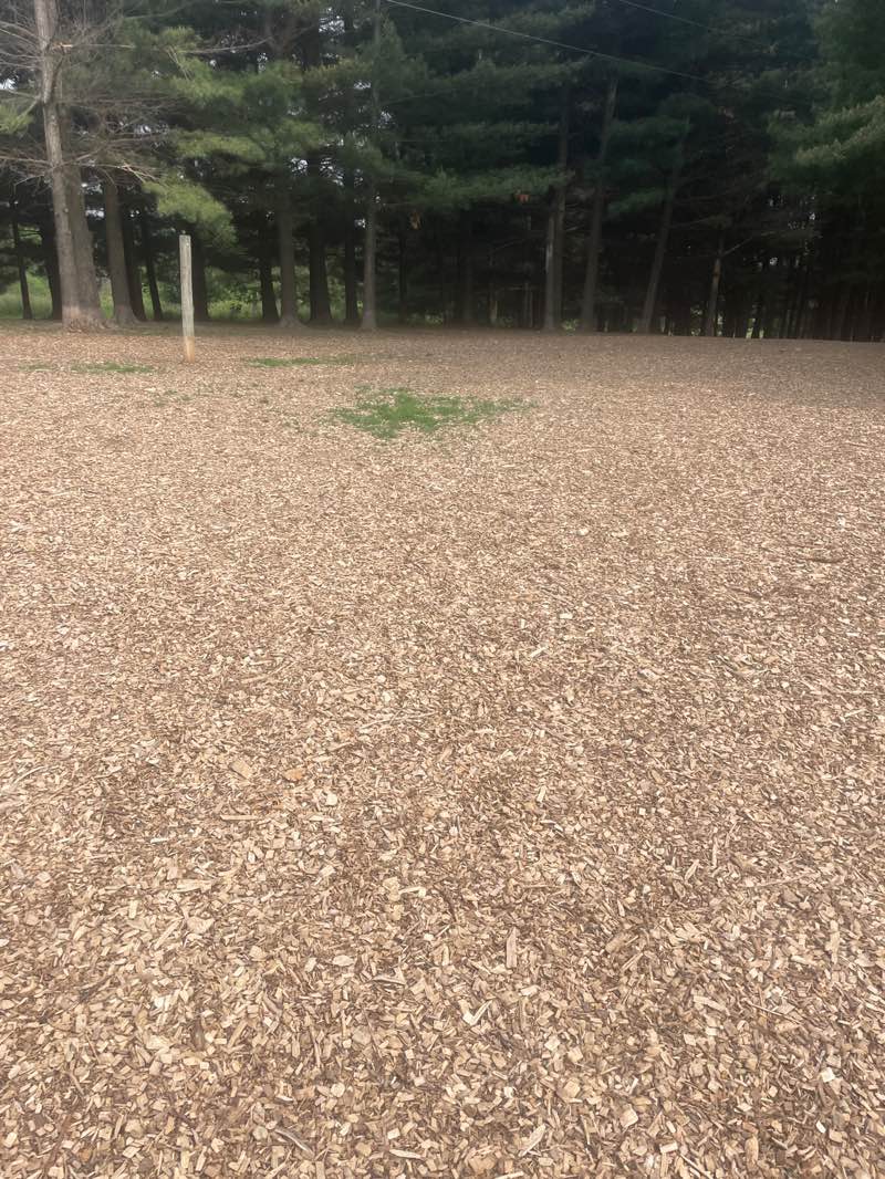 walking near me in Prairie Moraine County Park in autumn
