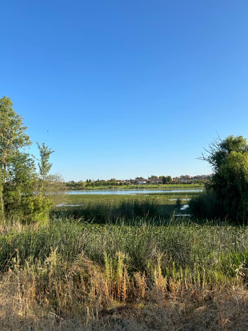 walking near me in Parque comercial Ronda Norte in winter