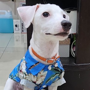 109_Earth Worawoot profile