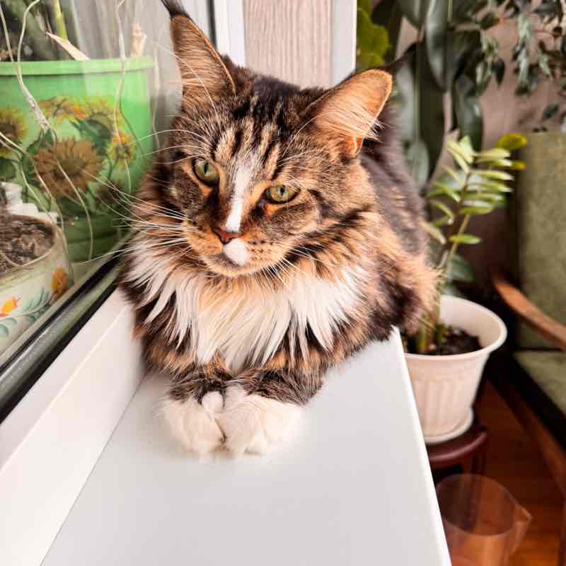 Balakovo64 Marina64🐈‍⬛🍁 post image