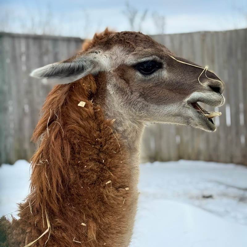 Balakovo64 Marina64🐈‍⬛🍁 post image