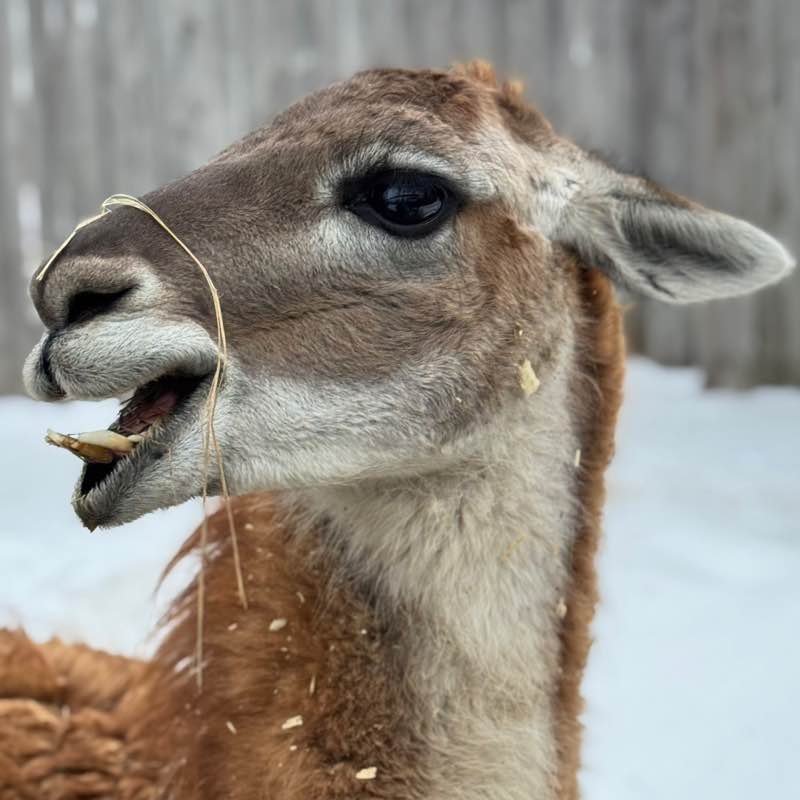 Balakovo64 Marina64🐈‍⬛🍁 post image