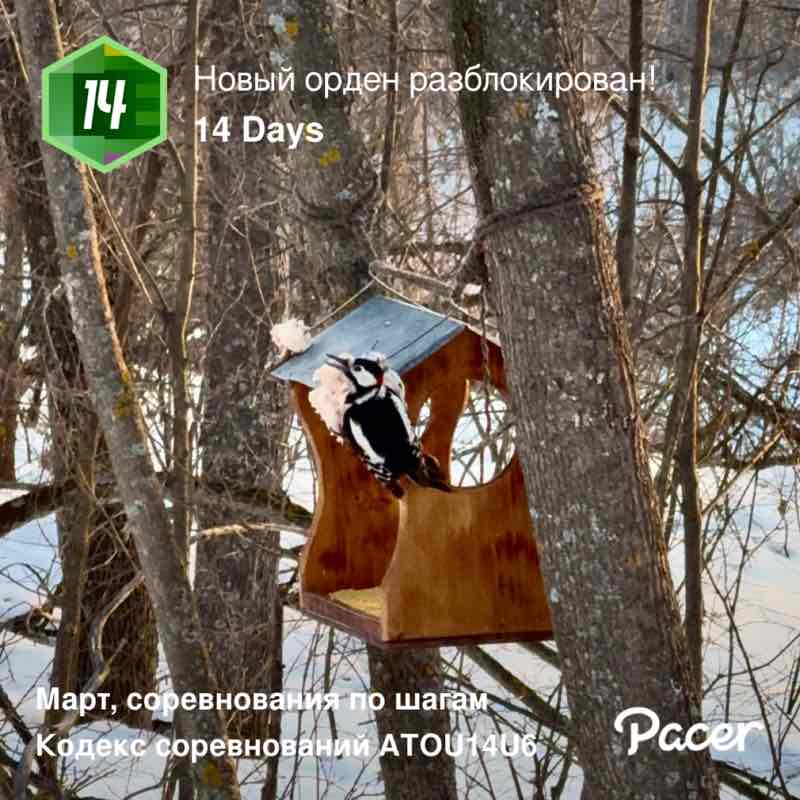 Marina64🐈‍⬛🍁 post 1