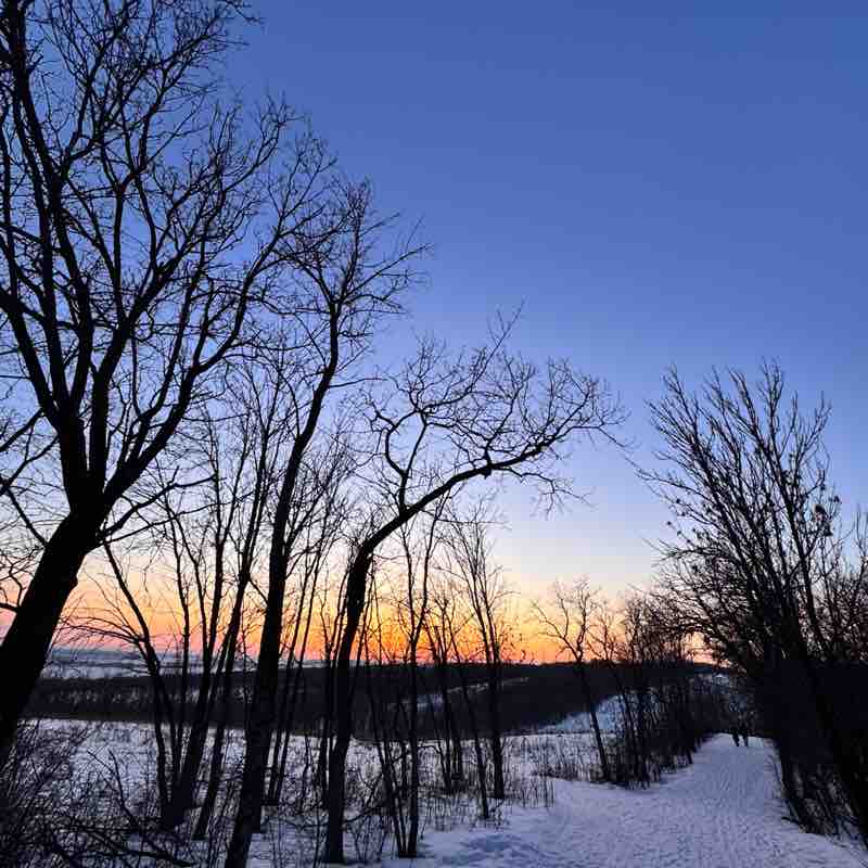 Marina64🐈‍⬛🍁 post 3