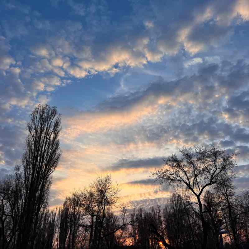 Marina64🐈‍⬛🍁 post 3