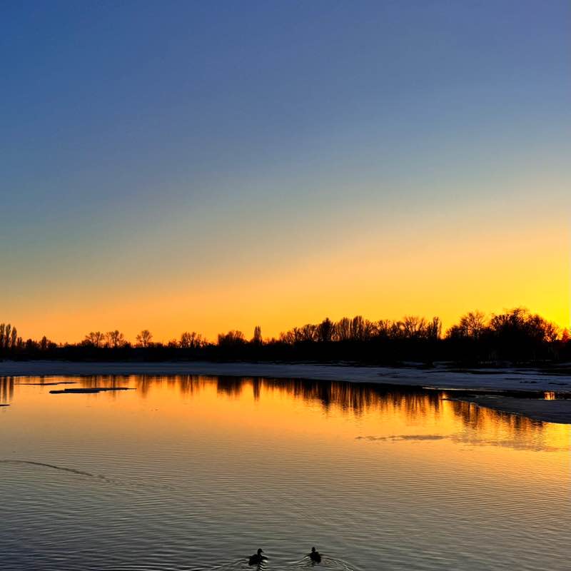 Marina64🐈‍⬛🍁 post 1