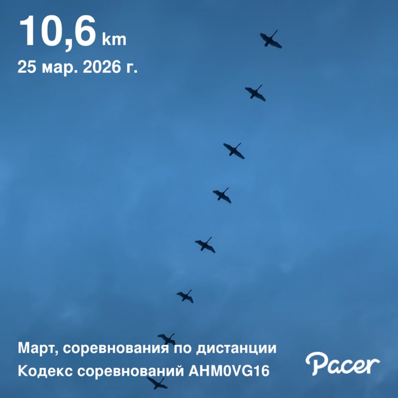 Marina64🐈‍⬛🍁 post 1